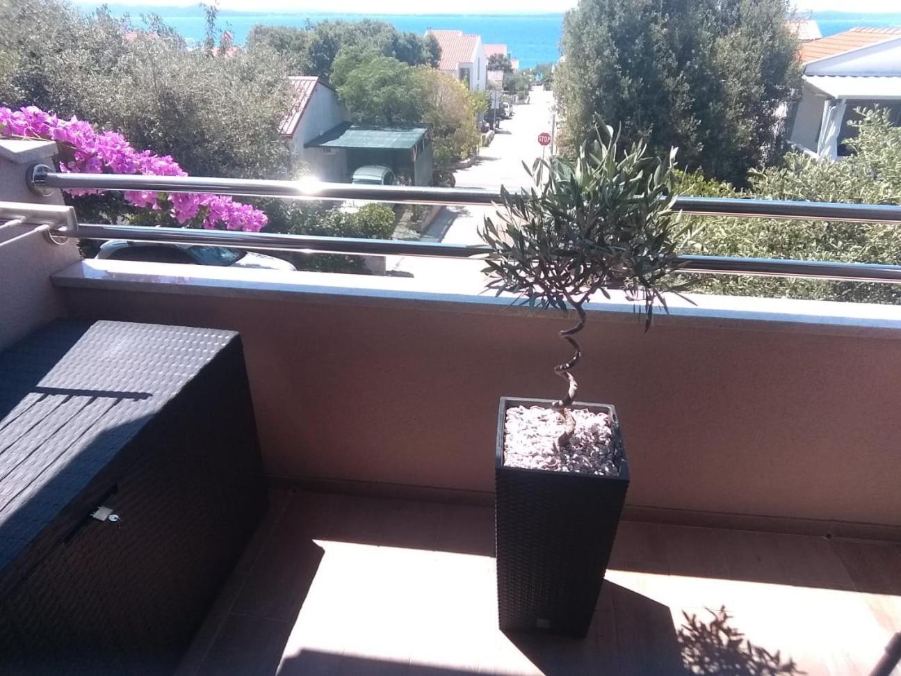 Apartment Vila Nina Petrcane Værelse billede